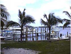 Ponce Fisherman